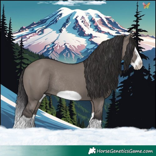 Horse Color:Smoky Grullo Splash Frame Rabicano 