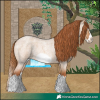 Horse Color:Red Dun Roan Splash Frame Rabicano