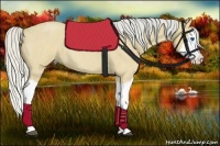 Horse Color:Silver Buckskin Roan Splash
