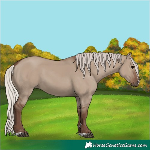 Horse Color:Silver Grullo