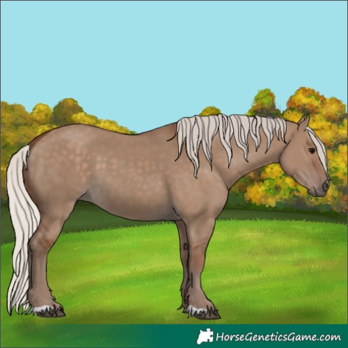 Horse Color:Silver Grullo