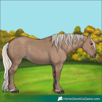 Horse Color:Silver Grullo 