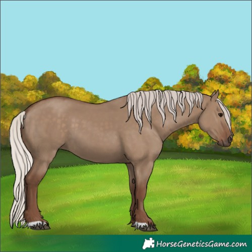 Horse Color:Silver Grullo