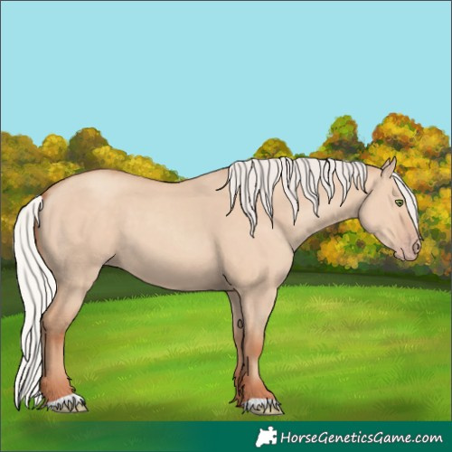 Horse Color:Silver Classic Champagne Dun 