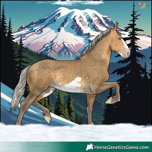 Horse Color:Silver Sable Cream Champagne Frame 