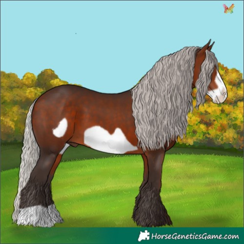 Horse Color:Silver Brown Frame 