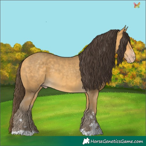 Horse Color:Sable Cream Champagne 