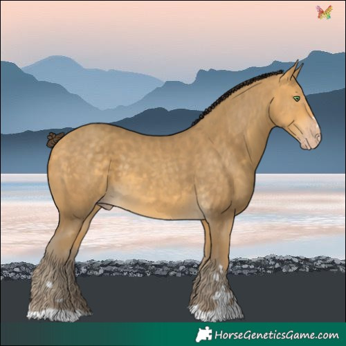 Horse Color:Sable Cream Champagne 