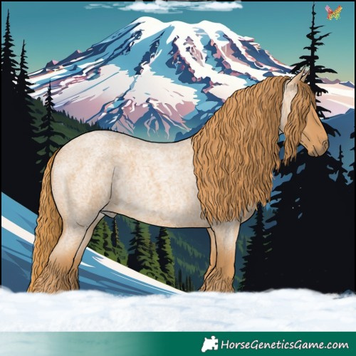 Horse Color:Red Roan 