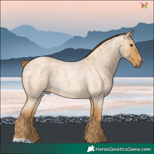 Horse Color:Red Roan 
