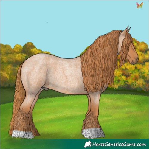 Horse Color:Red Roan 