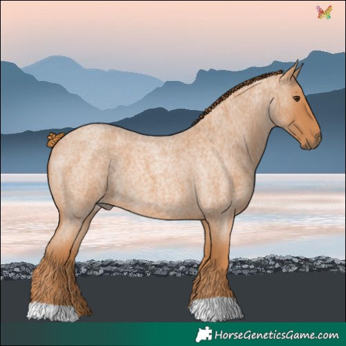 Horse Color:Red Roan 