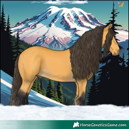 Horse Color:Buckskin 
