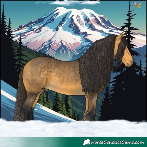 Horse Color:Buckskin 