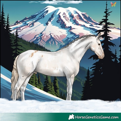 Horse Color:White Spotted Red Dun Tobiano Appaloosa 