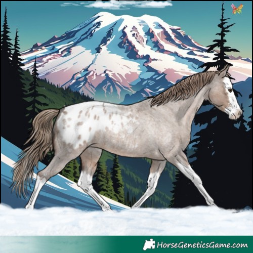 Horse Color:Liver Red Dun Roan Sabino Splash Blanket 