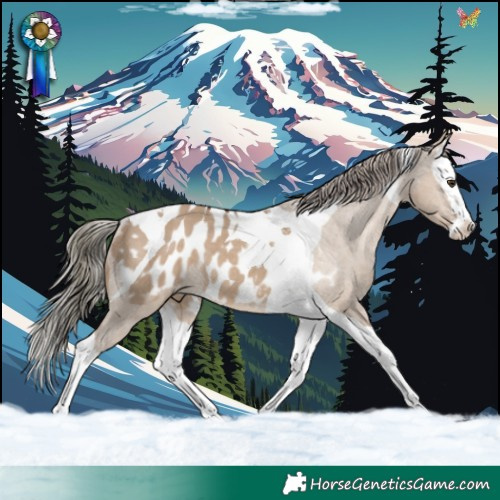 Horse Color:Liver Red Dun Splash Tobiano Appaloosa Rabicano 