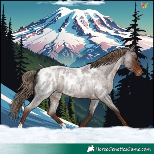 Horse Color:Liver Red Roan Blanket 