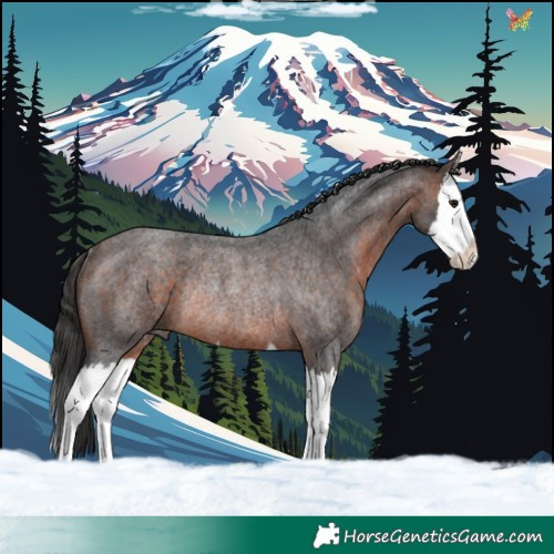 Horse Color:Brown Roan Splash Rabicano 