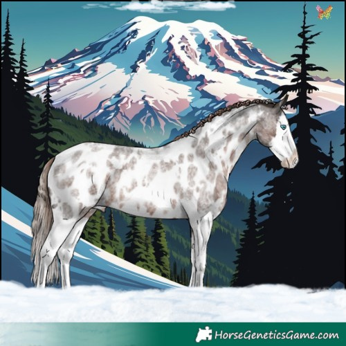 Horse Color:White Spotted Liver Red Roan Splash Appaloosa 