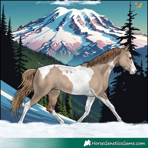 Horse Color:Liver Red Dun Sabino Tobiano Rabicano 