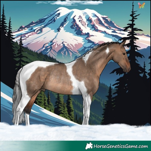 Horse Color:Brown Dun Tobiano Rabicano 