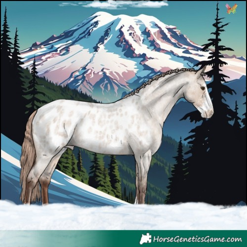 Horse Color:Liver Red Dun Roan Sabino Blanket Rabicano 