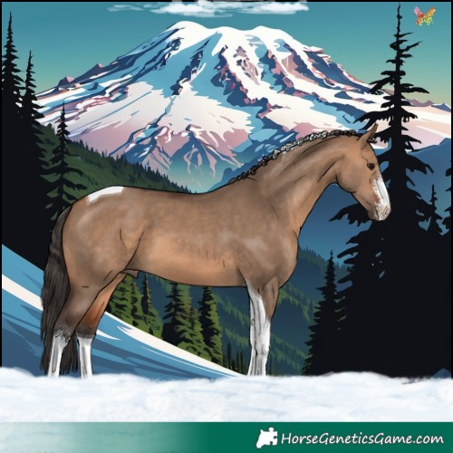 Horse Color:Bay Dun Sabino Tobiano 