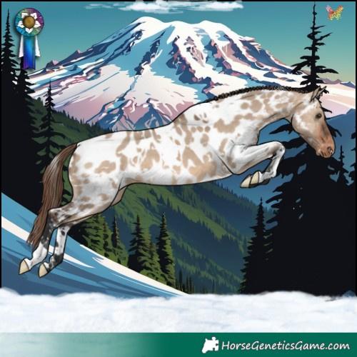 Horse Color:White Spotted Brown Dun Near Leopard 