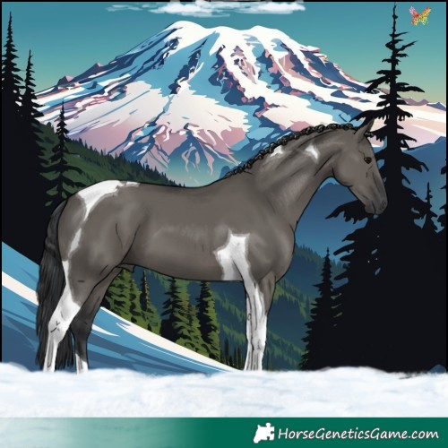 Horse Color:Grullo Tobiano 