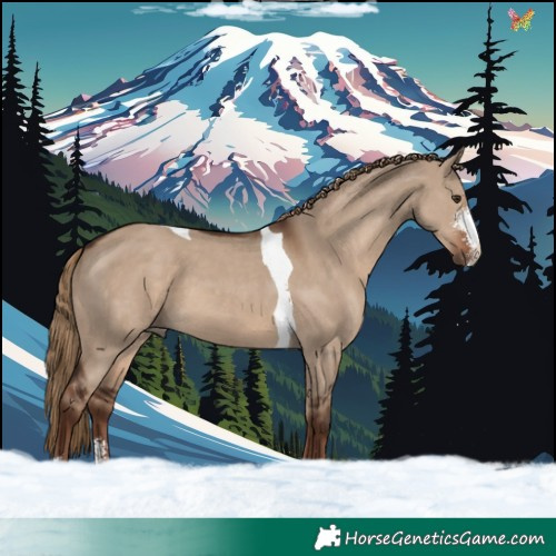 Horse Color:Liver Red Dun Sabino Tobiano 
