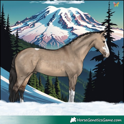 Horse Color:Bay Dun Sabino Tobiano 