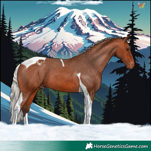 Horse Color:Silver Bay Tobiano Varnish 