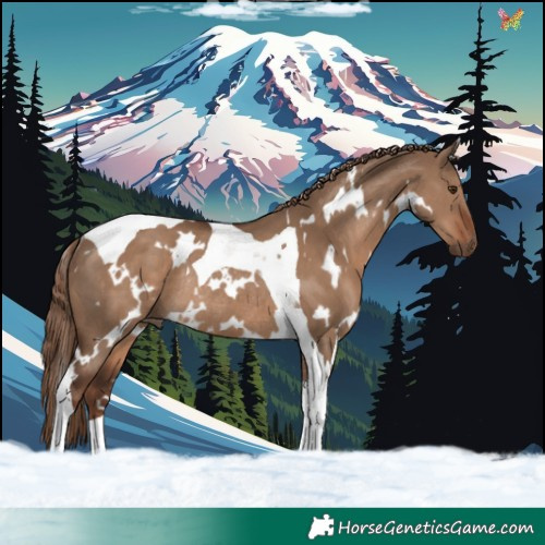 Horse Color:White Spotted Liver Red Dun Tobiano Rabicano 