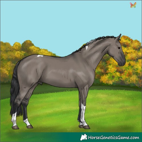 Horse Color:Grullo Tobiano 