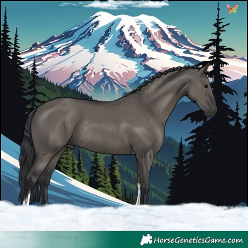 Horse Color:Grullo Tobiano Rabicano 