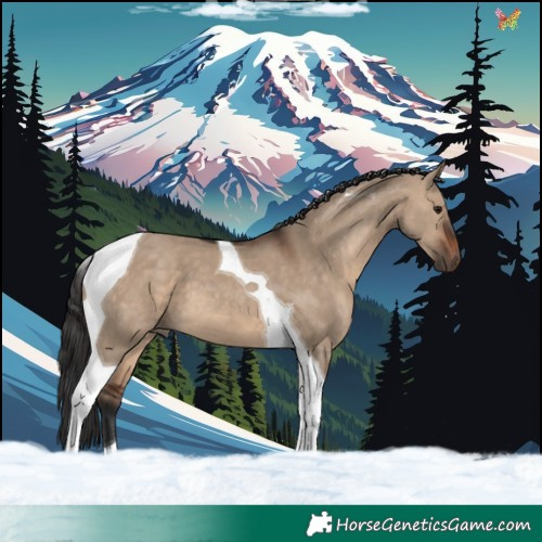 Horse Color:Brown Dun Tobiano 