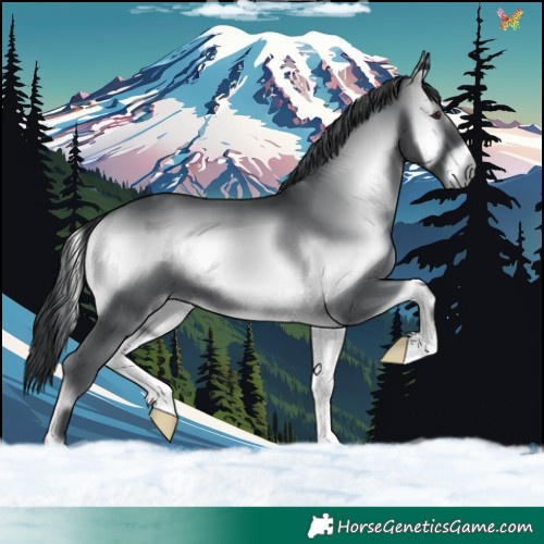 Horse Color:Blue Onyx Chinchilla 