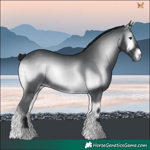 Horse Color:Blue Onyx Chinchilla 