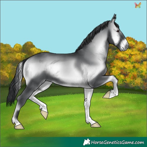 Horse Color:Blue Onyx Chinchilla 