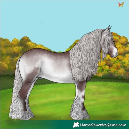 Horse Color:Chocolate Silver Brown Chinchilla Onyx 