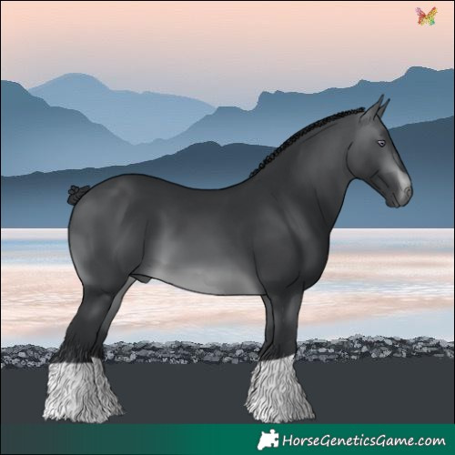 Horse Color:Brown Chinchilla 