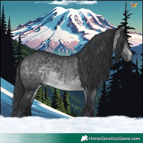 Horse Color:Brown Chinchilla 