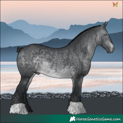 Horse Color:Brown Chinchilla 
