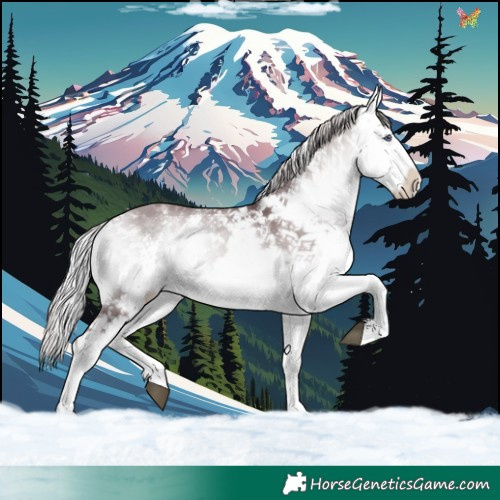 Horse Color:White Spotted Chocolate Silver Bay Chinchilla Onyx 