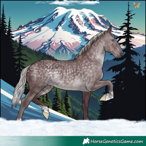 Horse Color:Chocolate Silver Black Chinchilla 