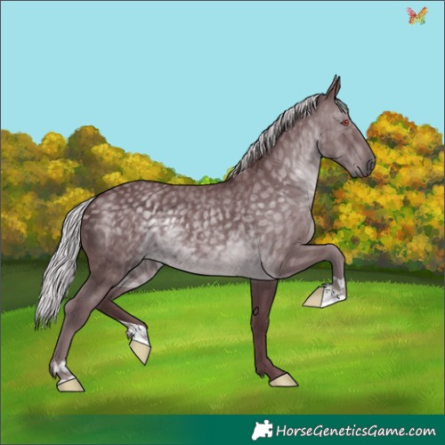 Horse Color:Chocolate Silver Black Chinchilla 