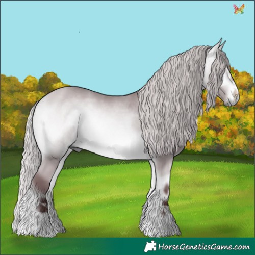 Horse Color:Chocolate Silver Bay Chinchilla Onyx 