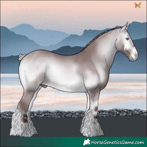 Horse Color:Chocolate Silver Bay Chinchilla Onyx 