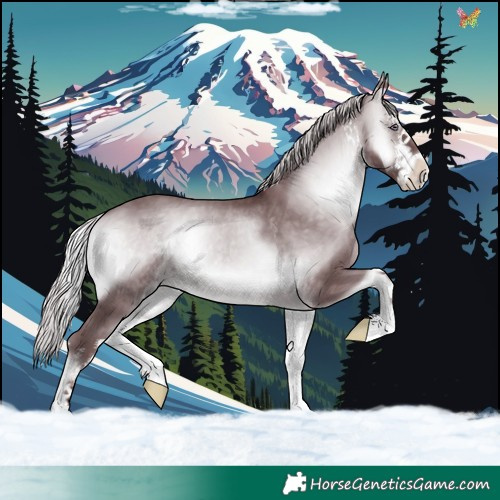 Horse Color:White Spotted Chocolate Silver Brown Chinchilla Onyx 